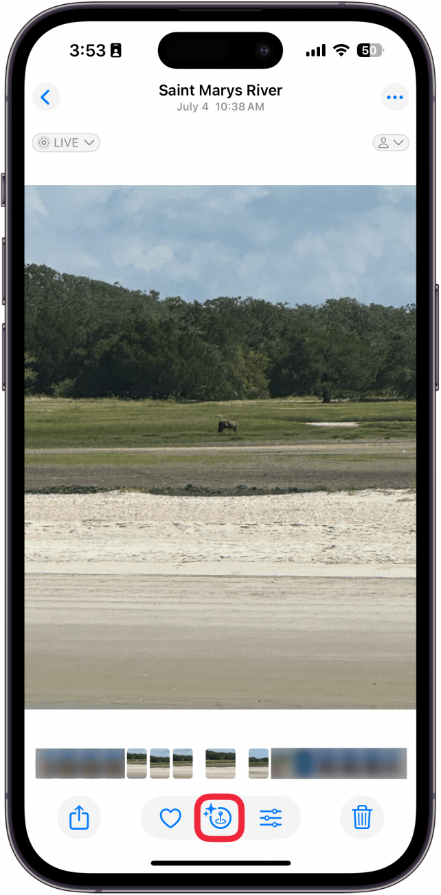 a screenshot of the iphone photos app displaying a landscape photo with a red box around the info icon