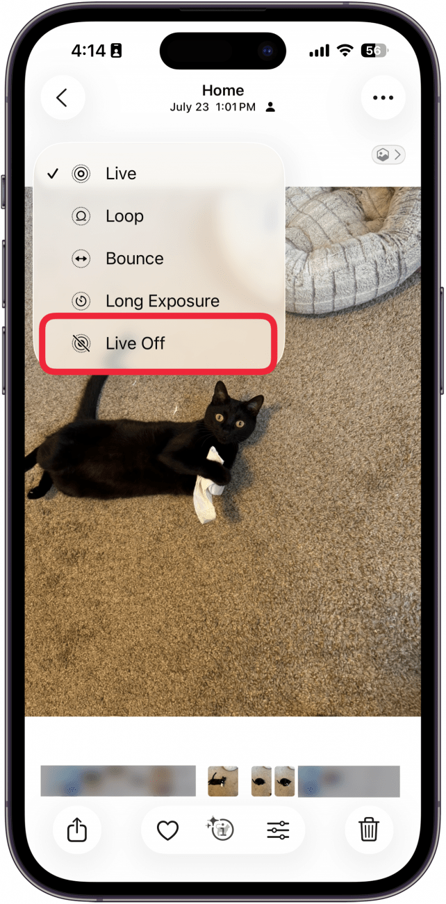 a screenshot of the photos app displaying a photo of a black cat and a menu with a variety of options for live photos with a red box around the live off option