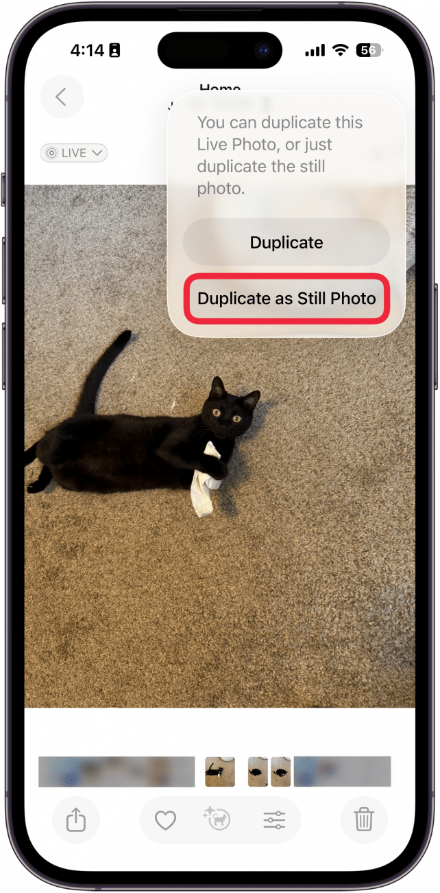 a screenshot of the photos app displaying a photo of a black cat and a menu asking the user to confirm duplicating as a still photo