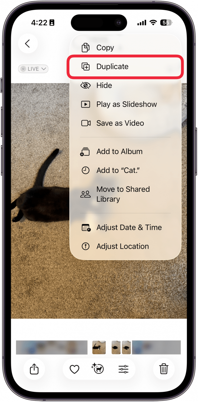 a screenshot of the photos app displaying a photo of a black cat and a menu with a variety of options, a red box is around the duplicate option