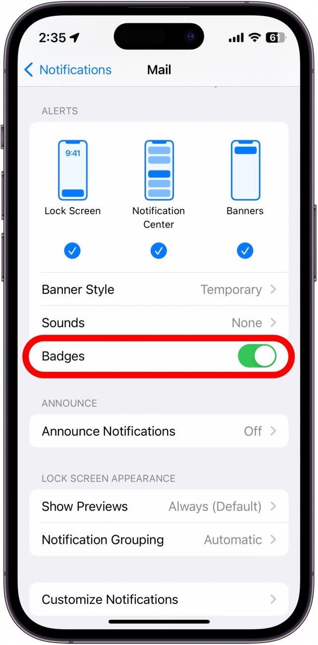 Turn Off Notification Badges on iPhone
