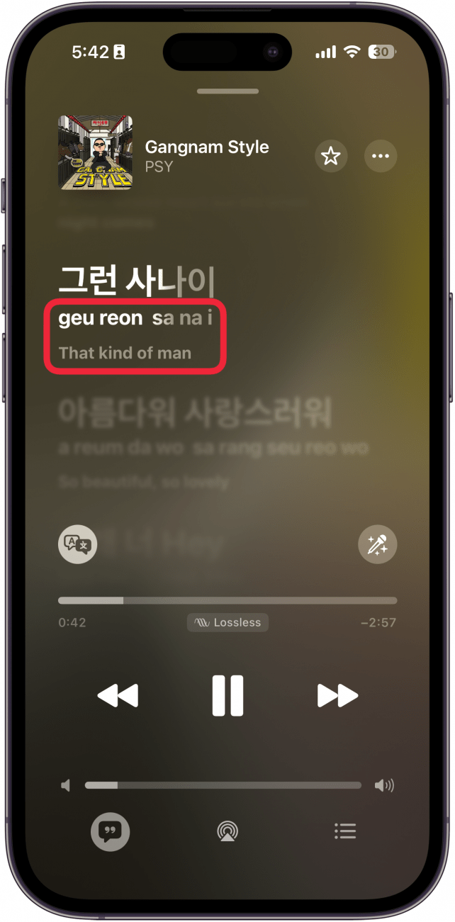 a screenshot of the iphone music app displaying korean lyrics on the now playing screen, displaying both a pronunciation and translation of the lyrics below each line, with a red box around the translation