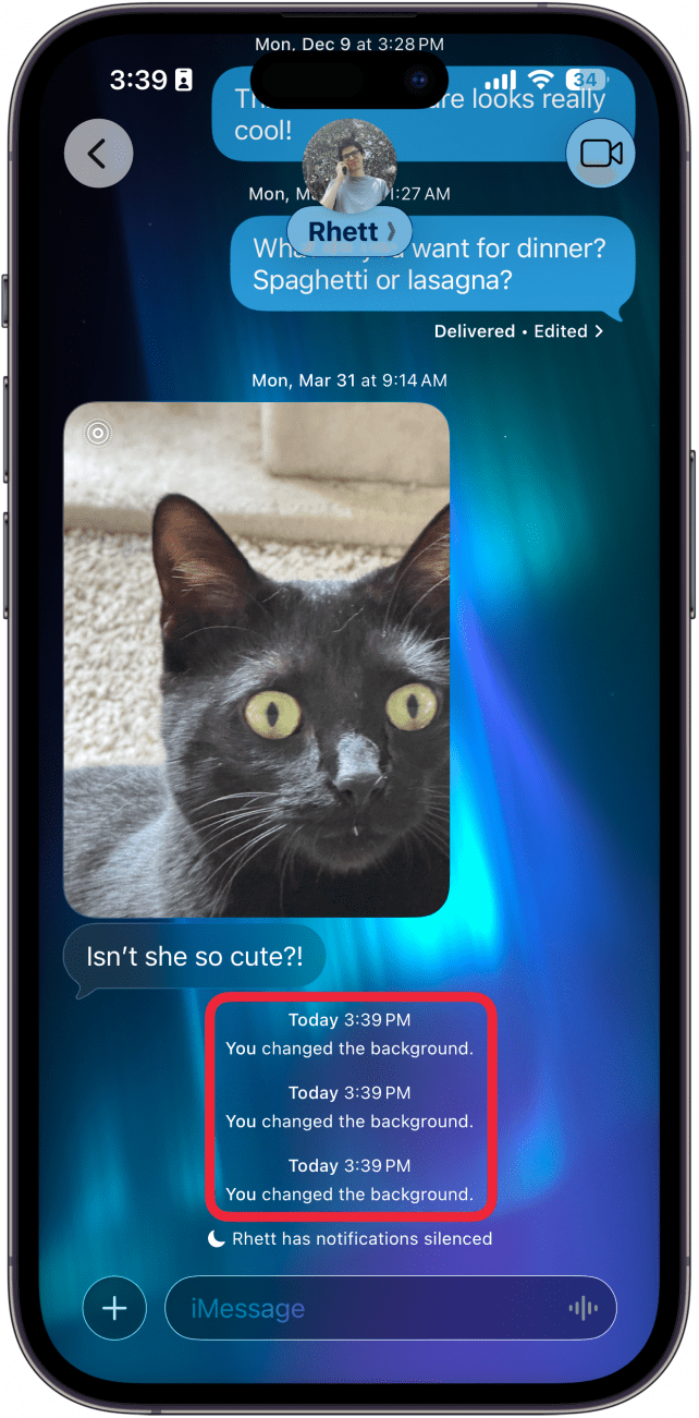 a screenshot of a conversation in the messages app with a red box around messages saying that the background has changed