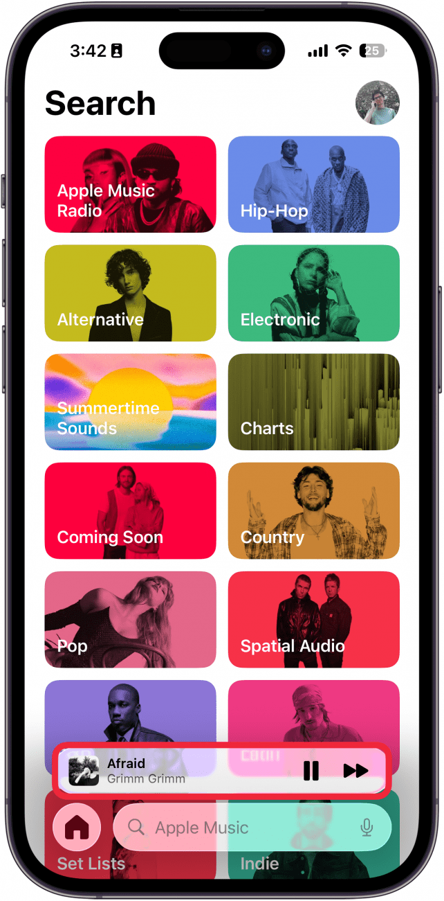 a screenshot of the iphone music app with a red box around the mini player