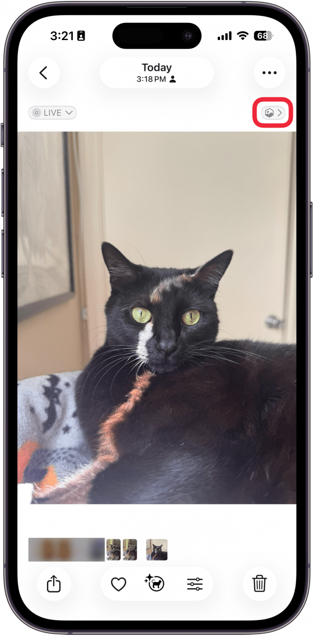 a screenshot of the iphone photos app displaying a photo of a cat with a red box around the spatial photo icon