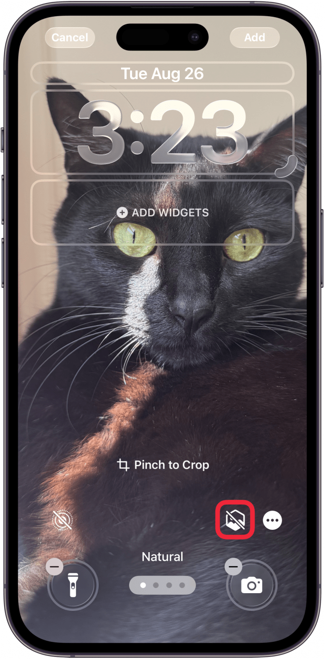 a screenshot of the iphone lock screen customization screen with a red box around the spatial icon