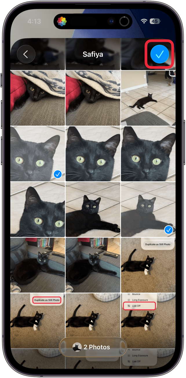 a screenshot of the photos app with two photos of a cat selected and a red box around the checkmark icon