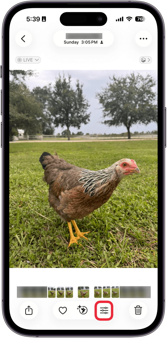a screenshot of the iphone photo viewer with a red box around edit button