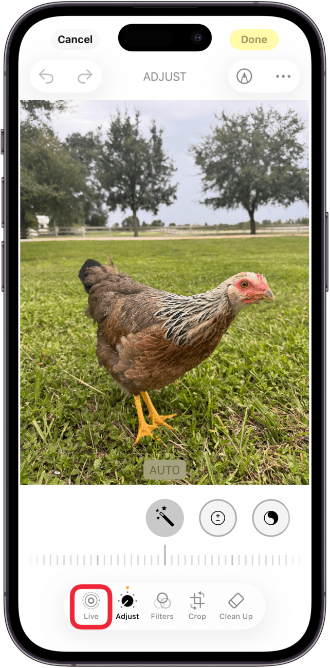 a screenshot of the iphone photo editor with a red box around live photo icon