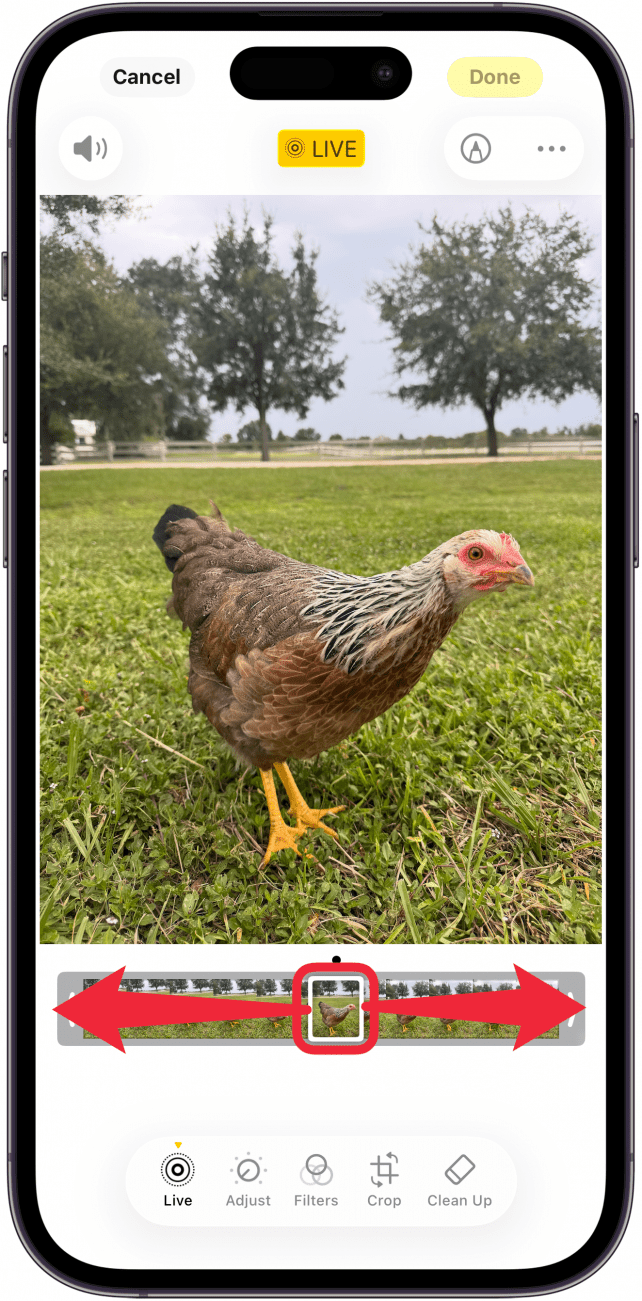 a screenshot of the iphone photo editor displaying live photo track, with a red box around key photo frame, and red arrows pointing left and right, indicating for the user to drag the frame left and right