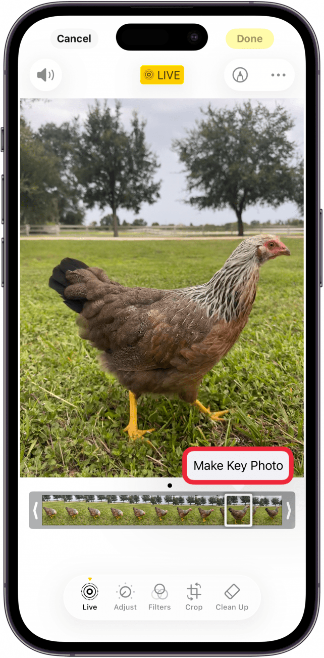 a screenshot of the iphone photo editor displaying live photo track, with a red box around make key photo button