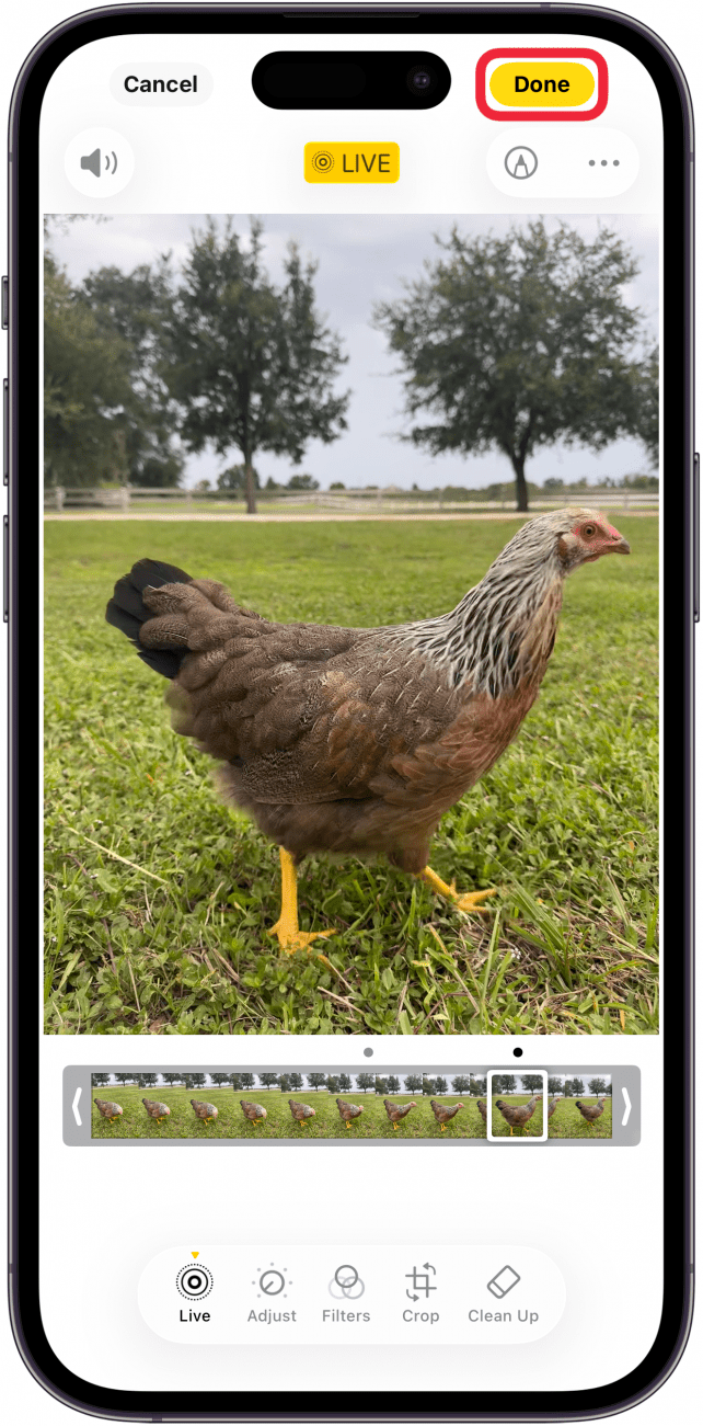 a screenshot of the iphone photo editor displaying live photo track, with a red box around the done button