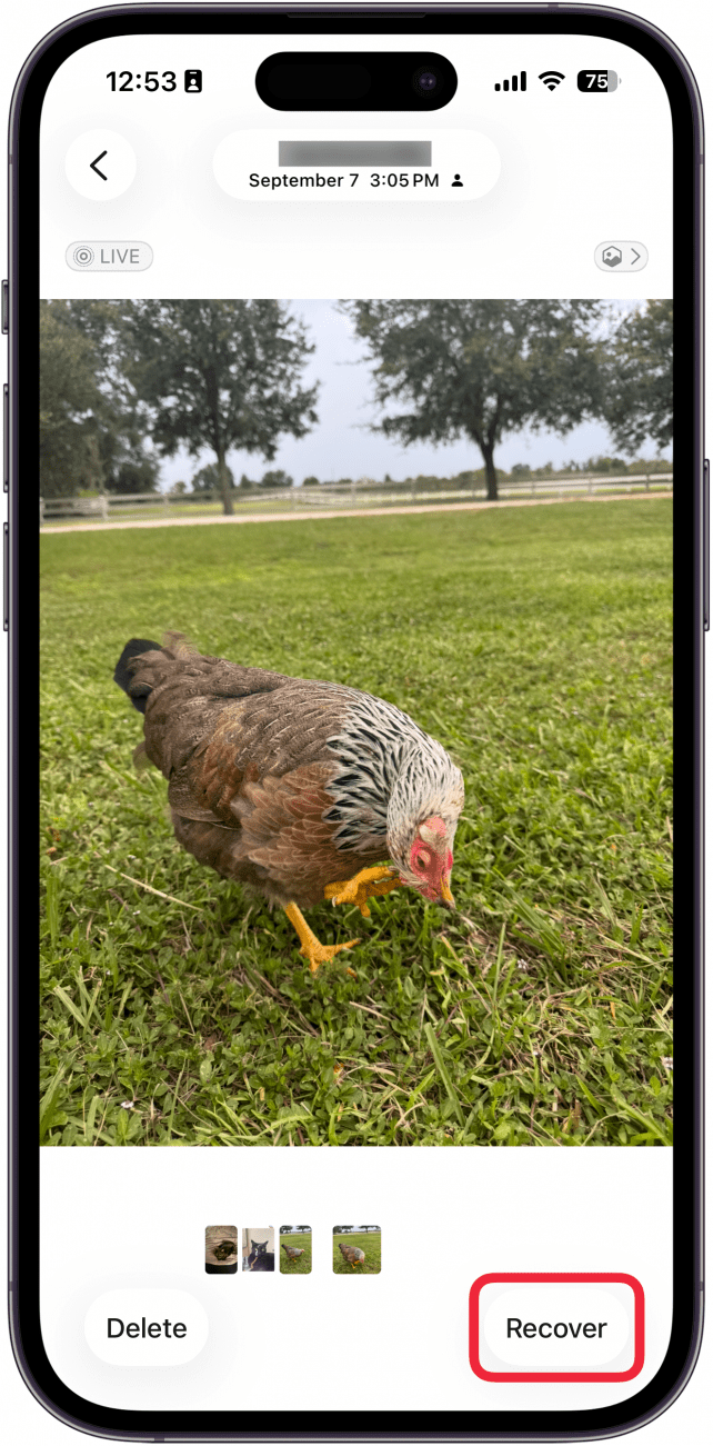 screenshot of the iphone photos app recently deleted folder displaying a photo of a chicken with a red box around the recover button