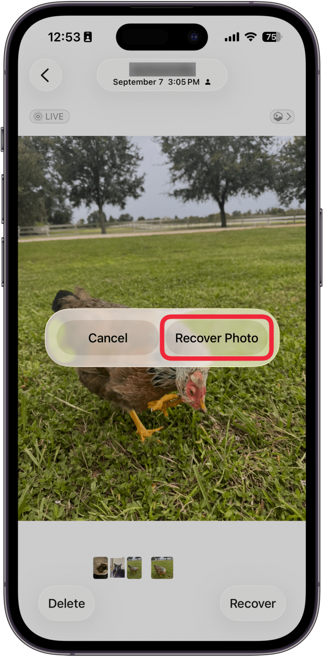screenshot of the iphone photos app recently deleted folder displaying a photo of a chicken and a prompt asking to recover the photo, with a red box around the recover button