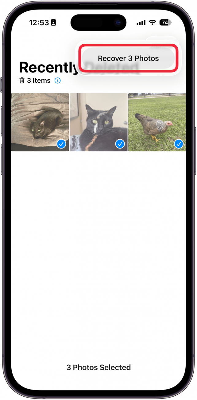 screenshot of the iphone photos app recently deleted folder and prompting to confirm recovering the photo with a red box around recover button