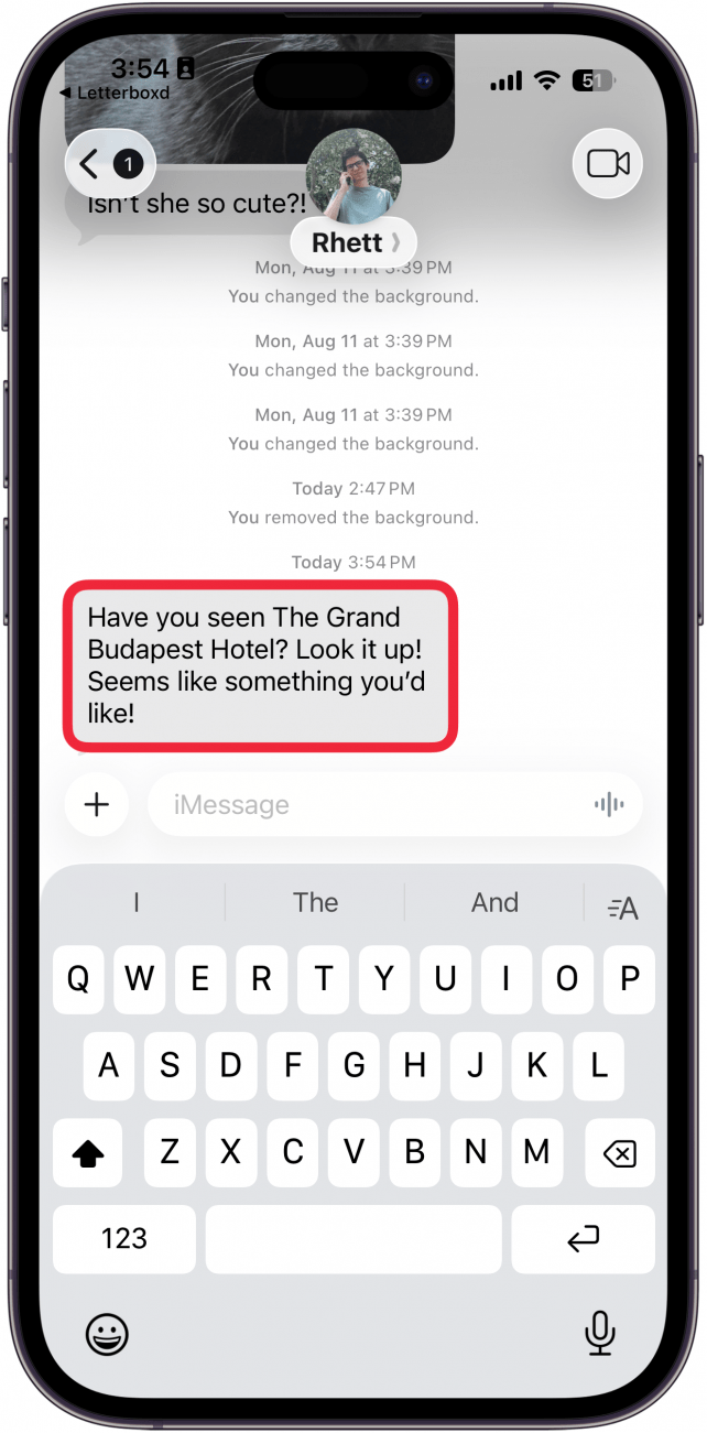 a screenshot of the messages app on iphone with a red box around a text message bubble