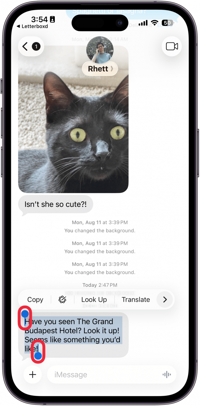 a screenshot of the messages app showing highlighted text with red boxes around the blue dots
