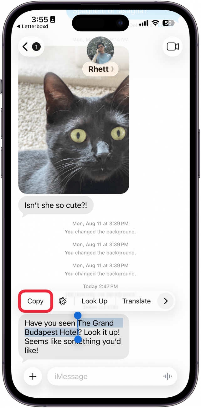 a screenshot of the messages app showing highlighted text with a red box around copy