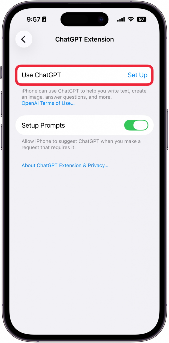 a screenshot of chatgpt settings on iphone with a red box around the set up chatgpt prompt