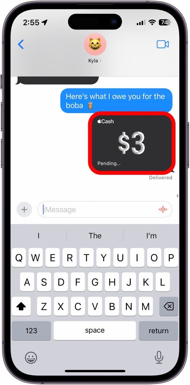 How to Cancel Apple Pay Payment on iPhone or iPad