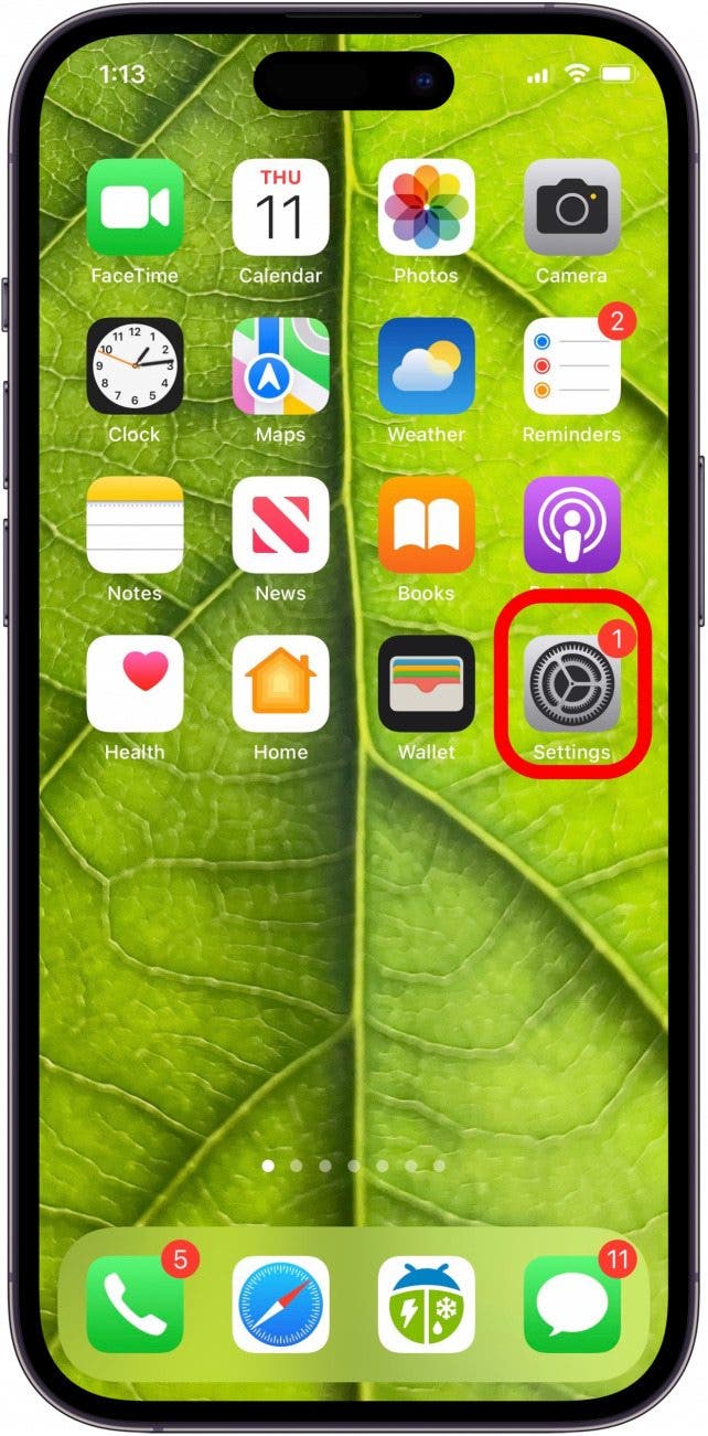 open the settings app on iPhone or iPad iphone settings app