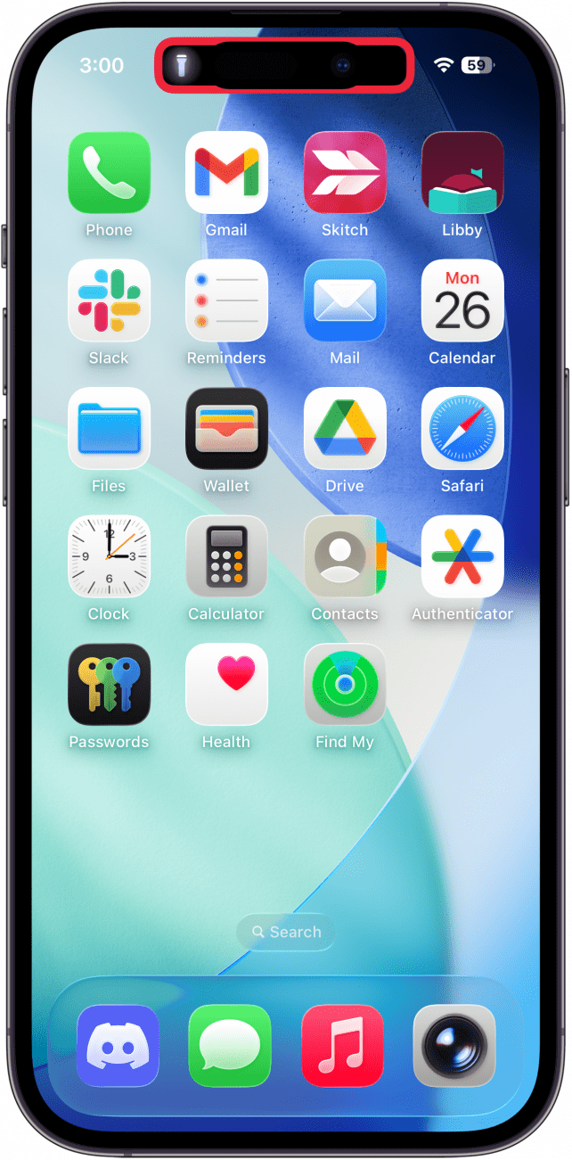 a screenshot of the iphone home screen displaying a flashlight icon in the dynamic island and a red box around the dynamic island