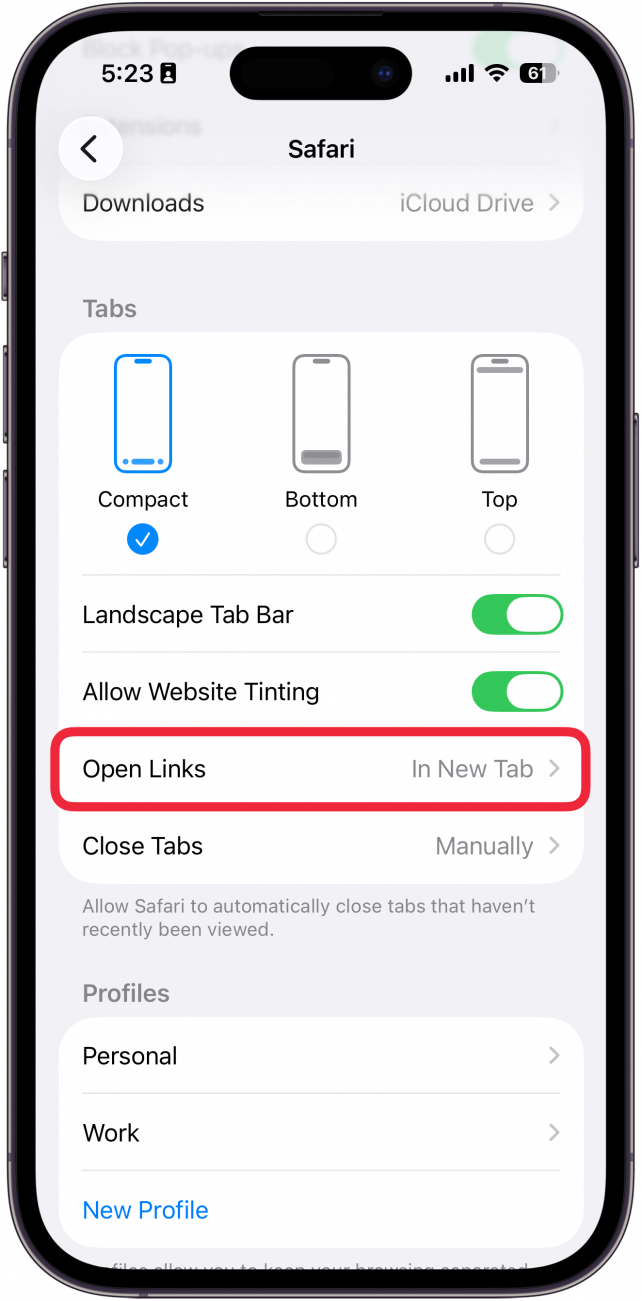 a screenshot of safari settings on the iphone with a red box around open link