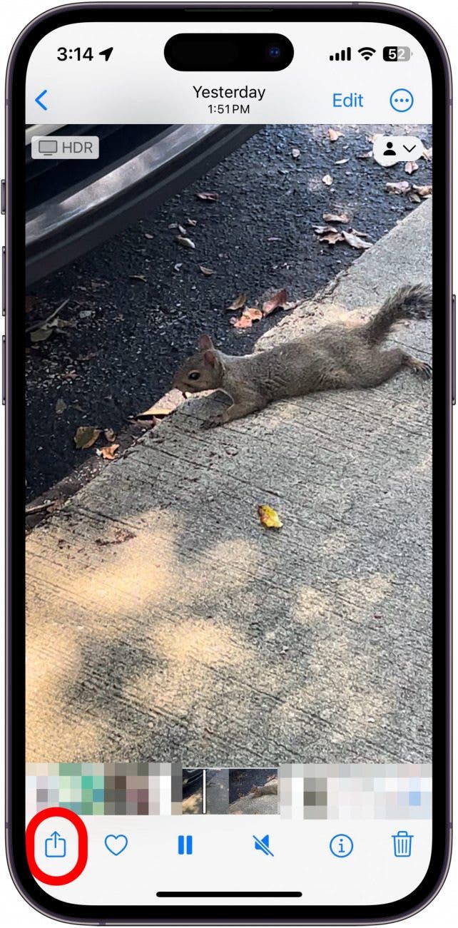 How to Remove Location Data from Photos on iPhone & iPad