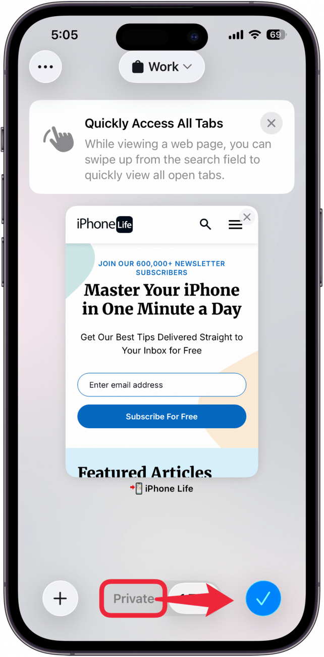 a screenshot of iphone safari browser with private tab circled in red, and a red arrow pointing to the right, indicating to swipe right on the tab bar