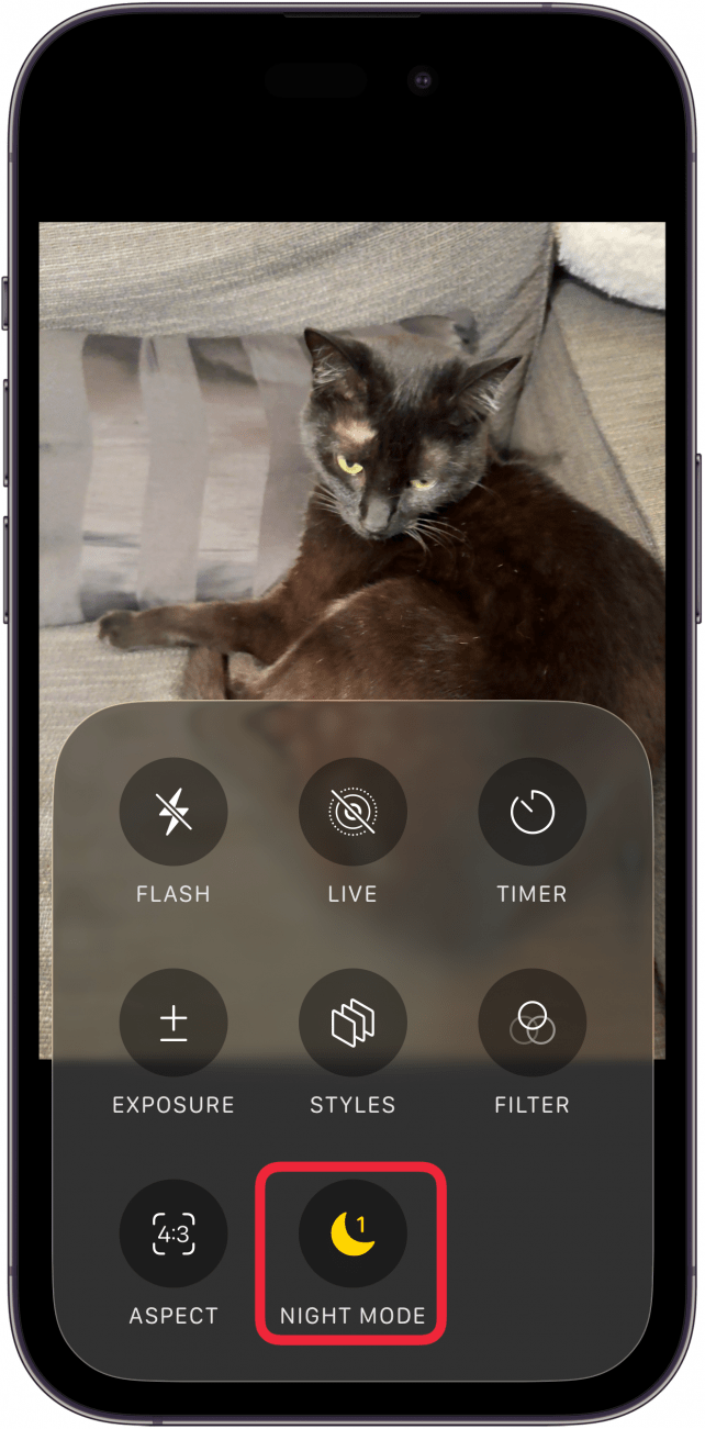 a screenshot of the camera app on the iphone displaying a menu with photo options and a red box around the night mode icon