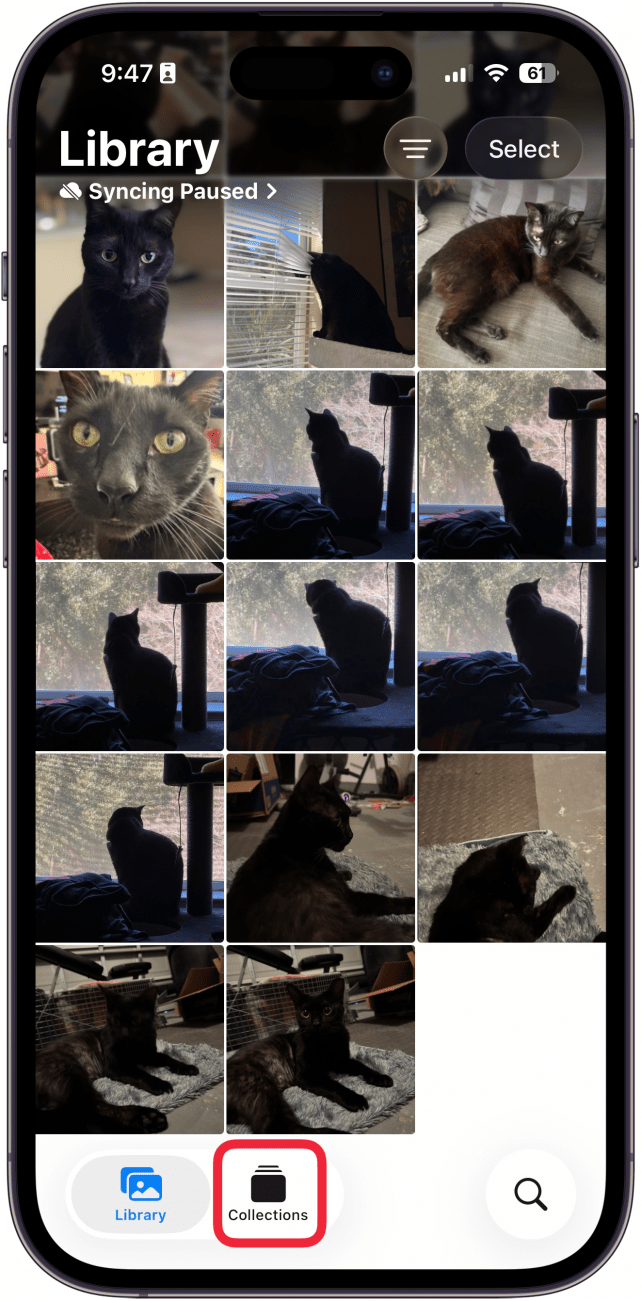 a screenshot of the photos app displaying the photo library with a red box around the collections tab