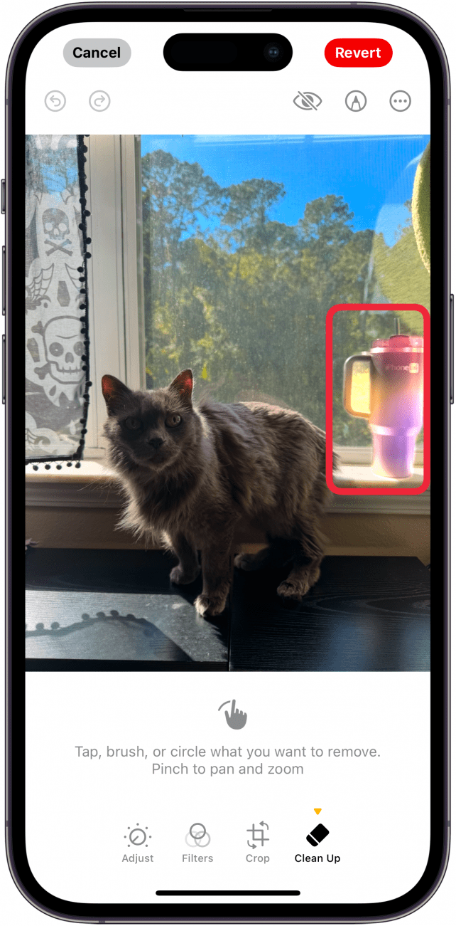 Remove People from the Background of Photos on iPhone