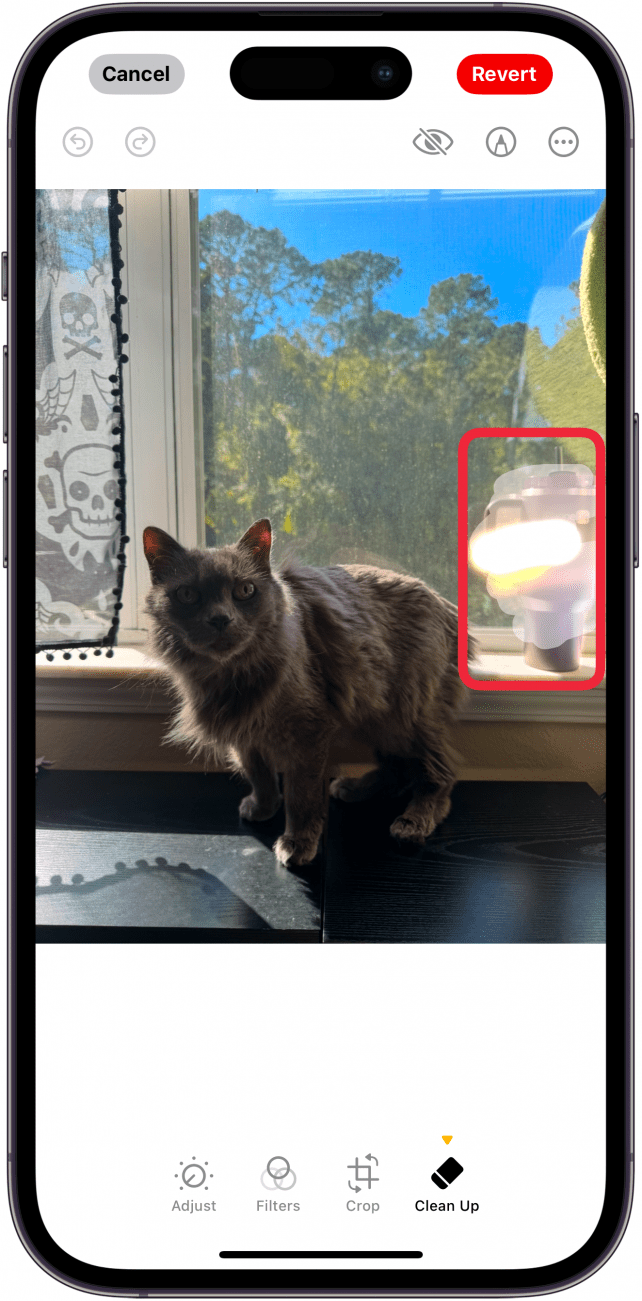 Remove People from the Background of Photos on iPhone