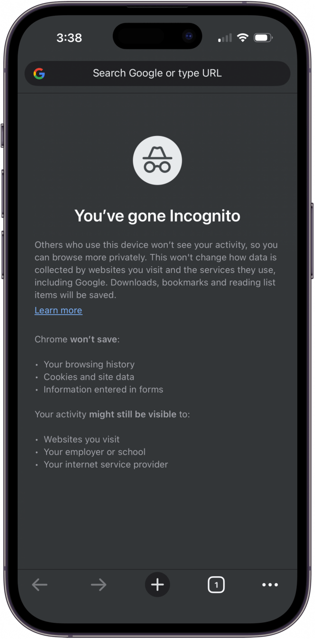 incognito mode is open