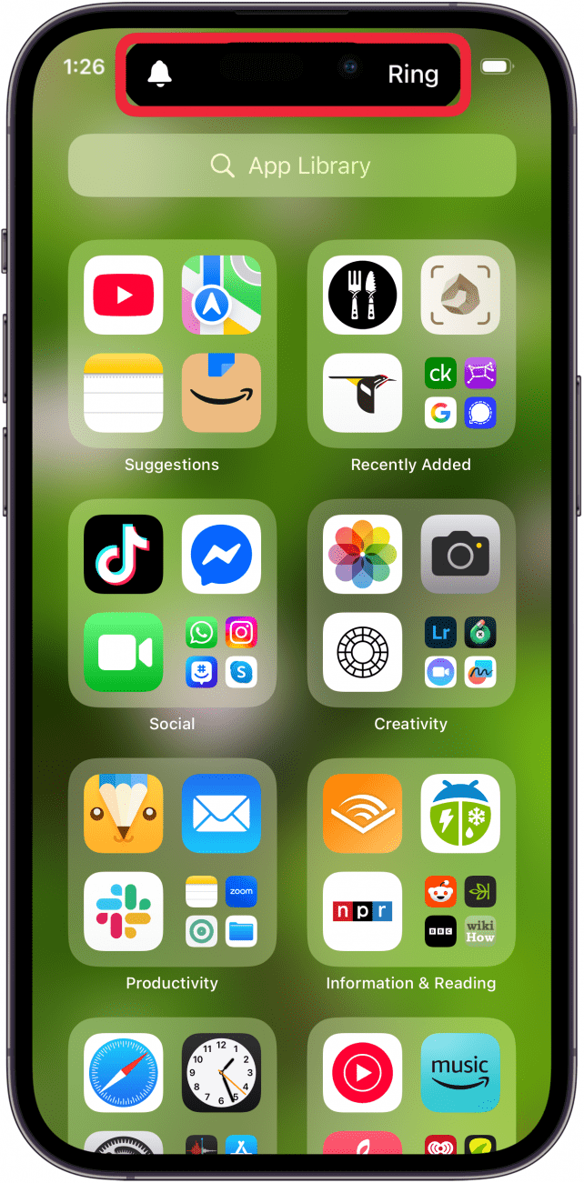 iphone ringer on