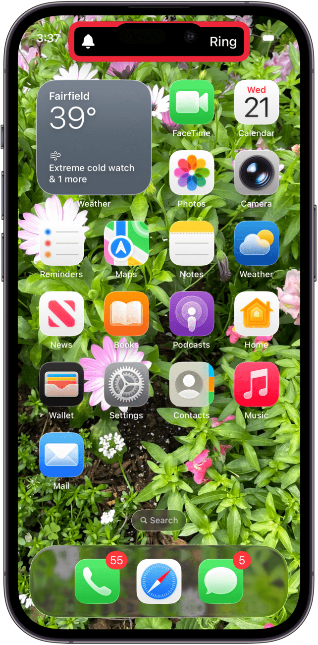 iphone silent mode is off