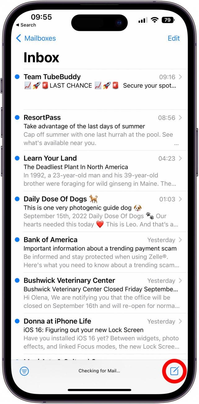 Create a new email (or find and open and email then tap reply).