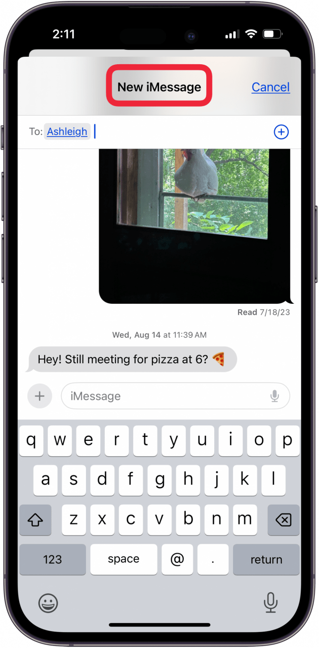 new imessage shows you're messaging an iphone or ipad user