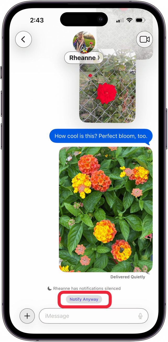 notify anyway under message notify anyway under message