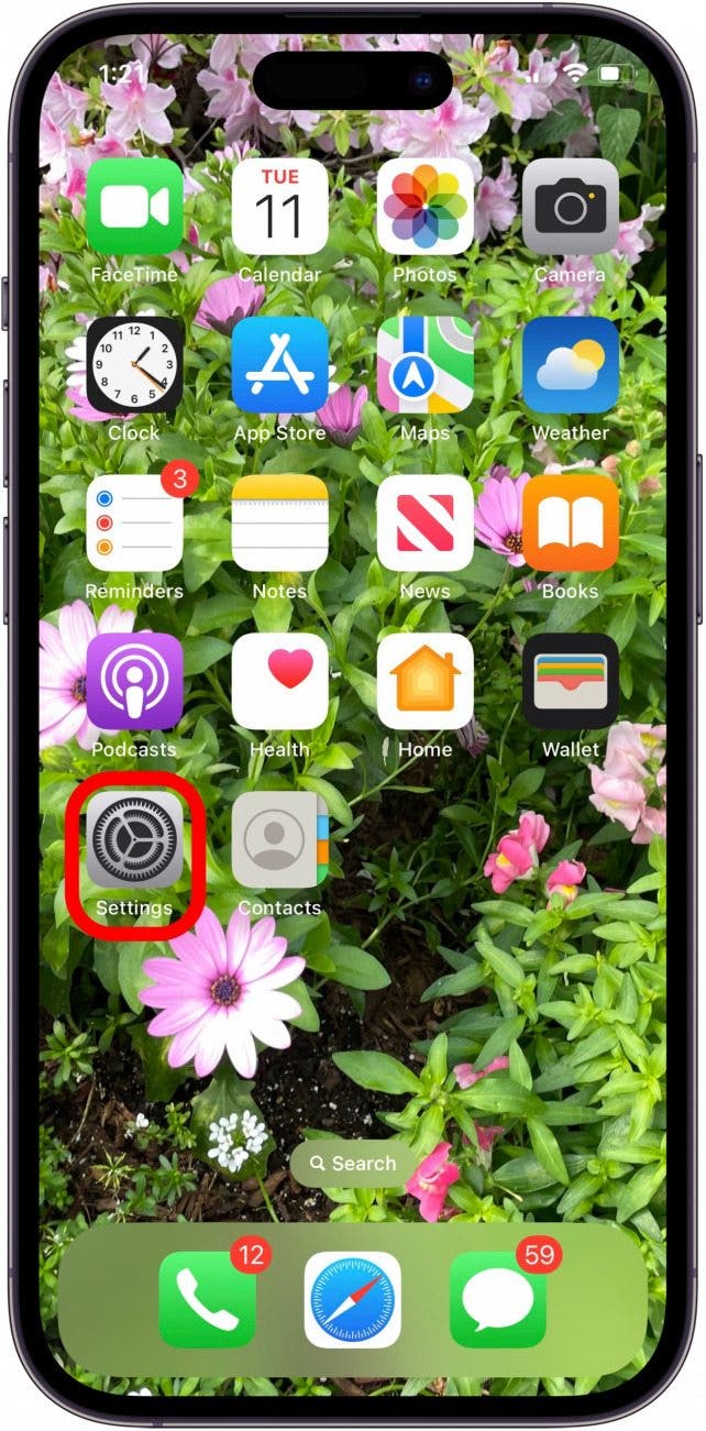open settings on iphone or ipad
