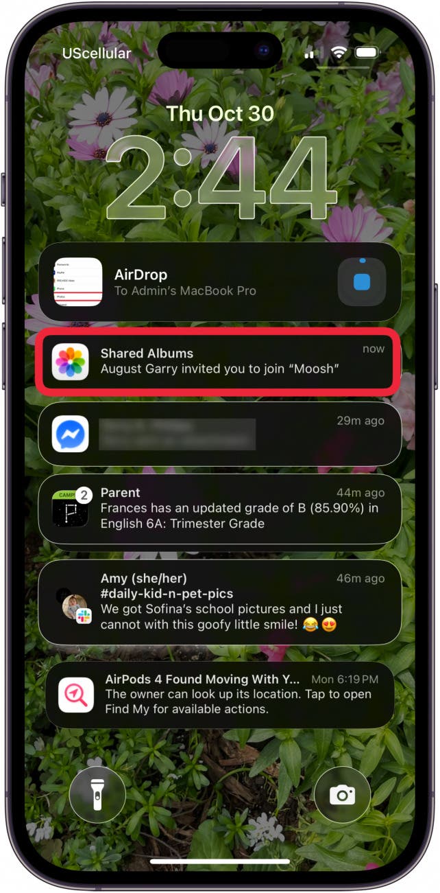 open shared album from notification center open shared album from notification center