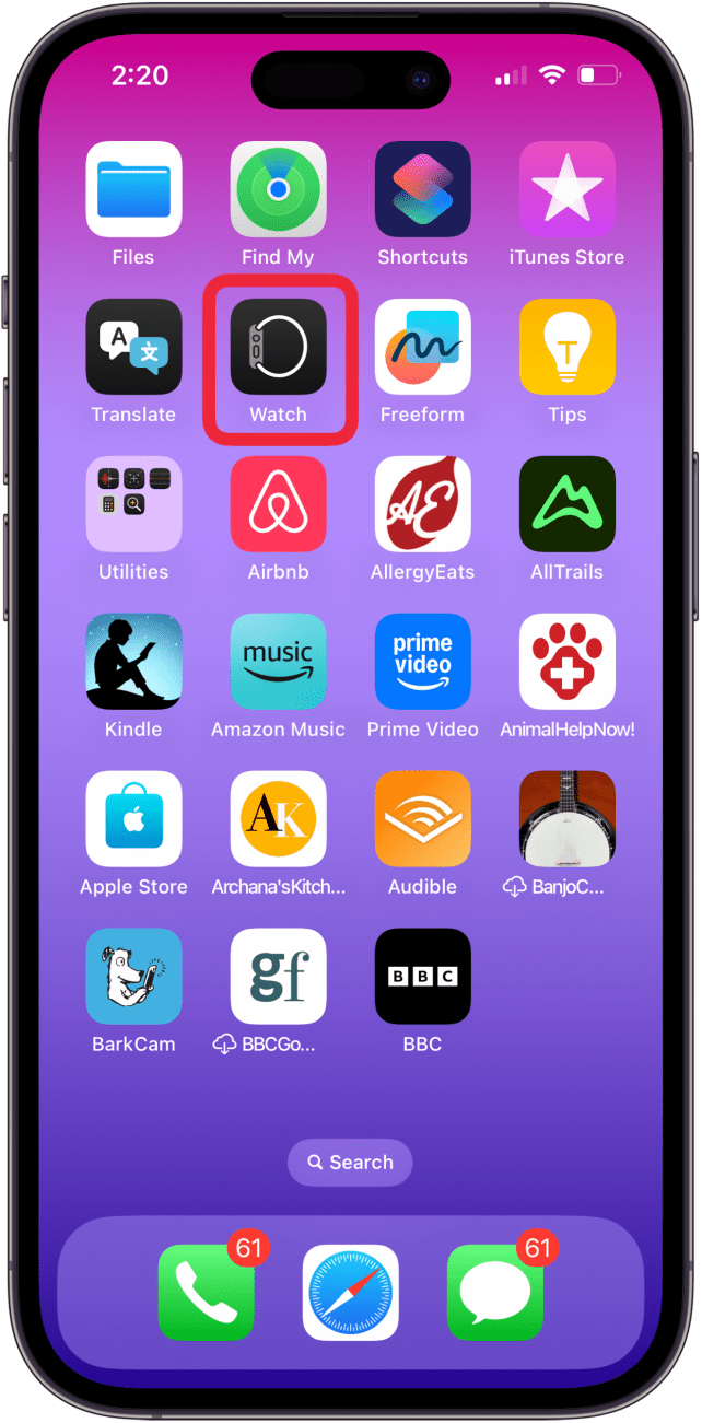 open the apple watch app on iphone or ipad
