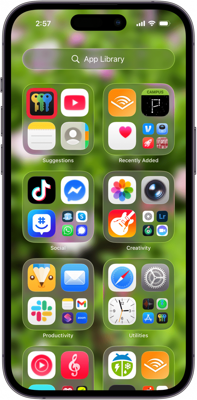 open the passwords app open the passwords app