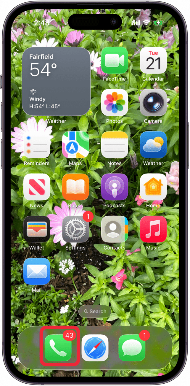 open the phone app open the phone app