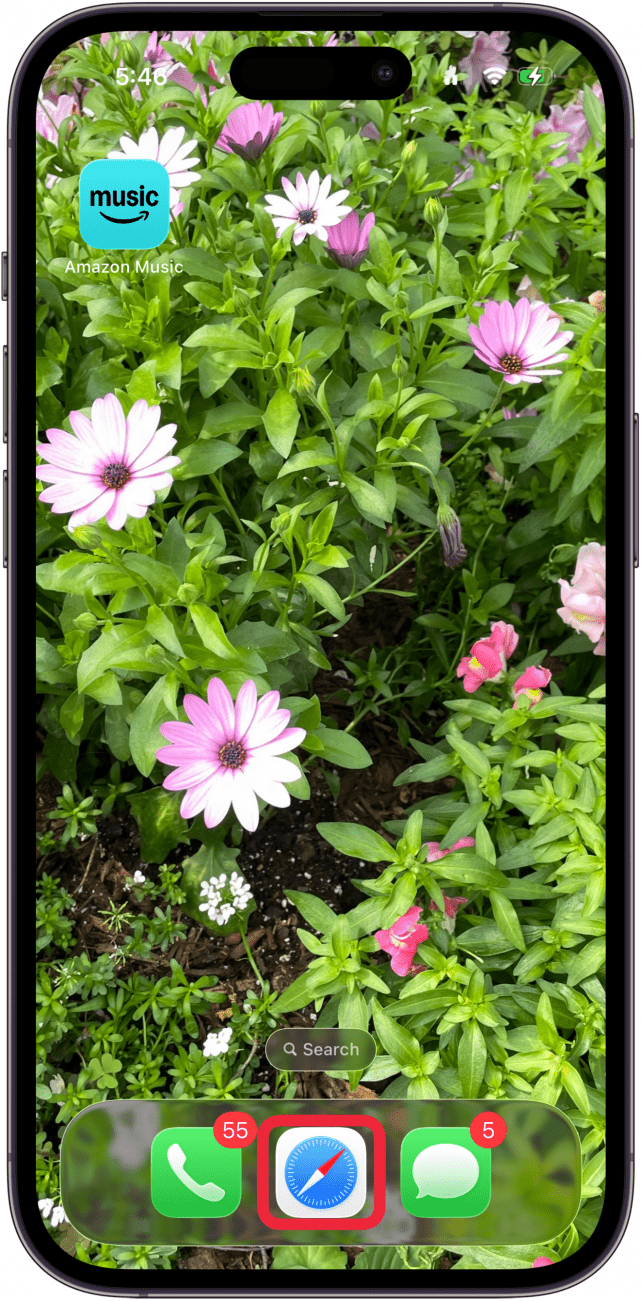 open the safari app open the safari app