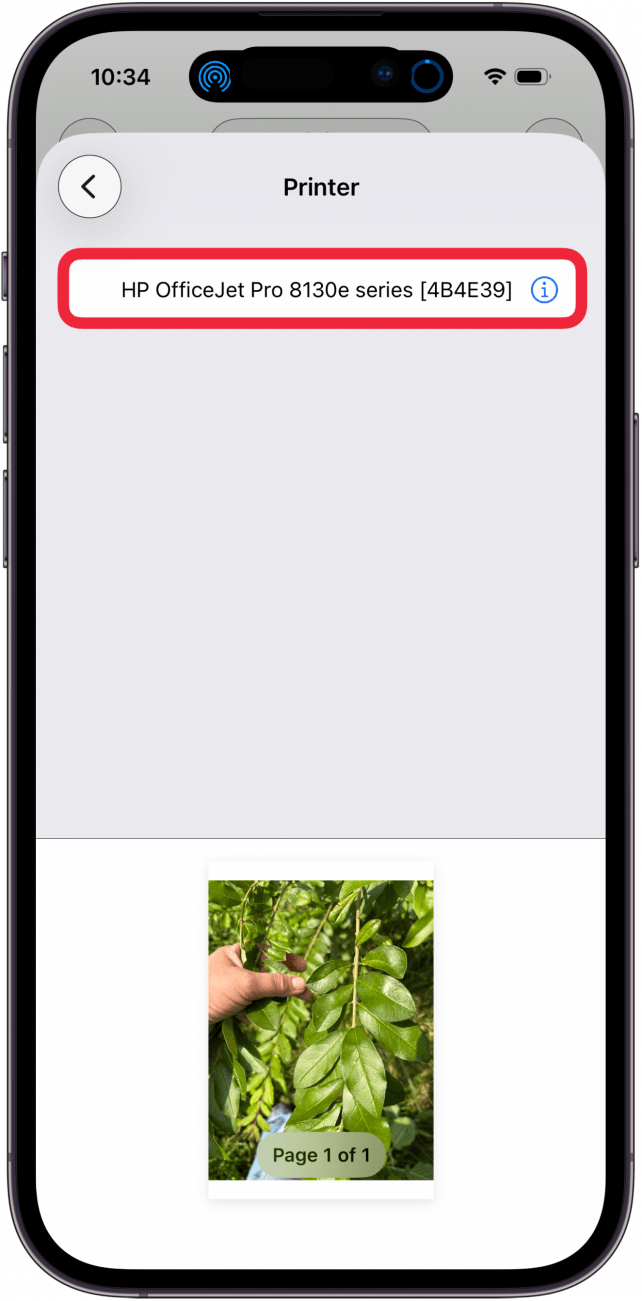 select printer from menu