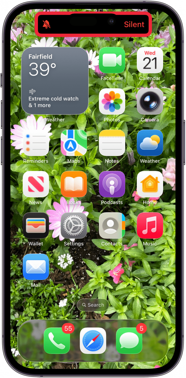 silent mode iphone is on