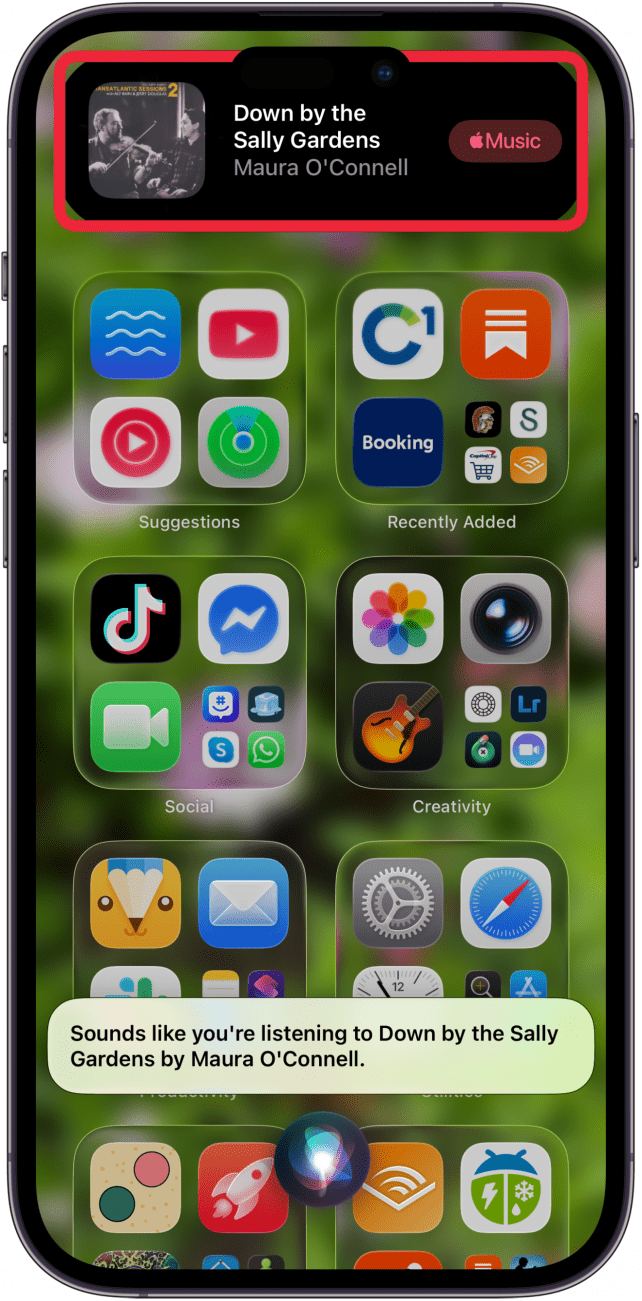 siri identifies song