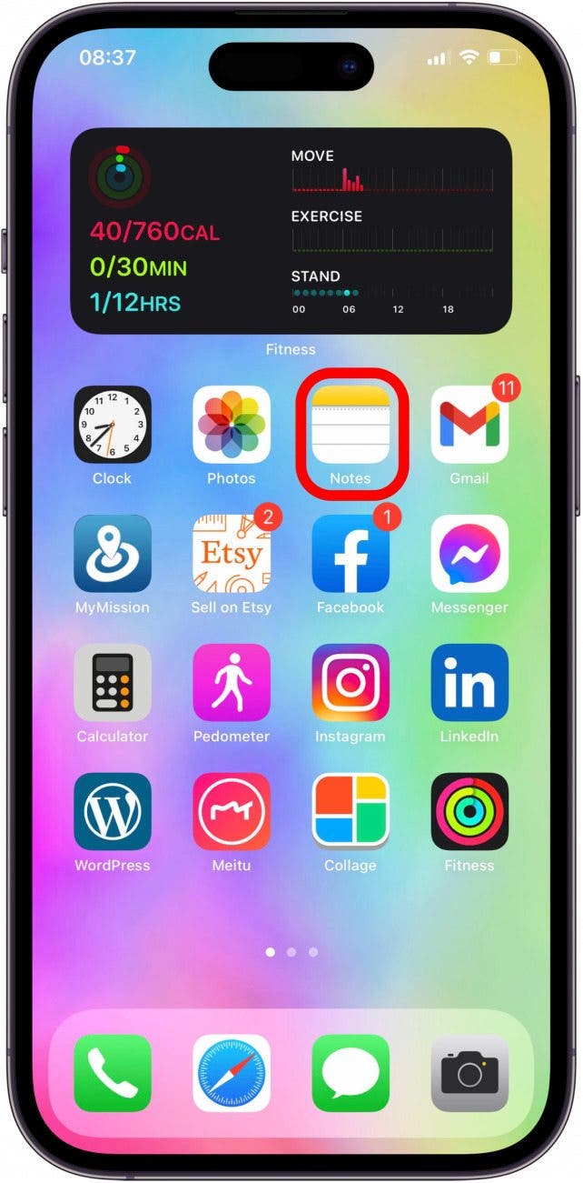 Open Notes app on iPhone