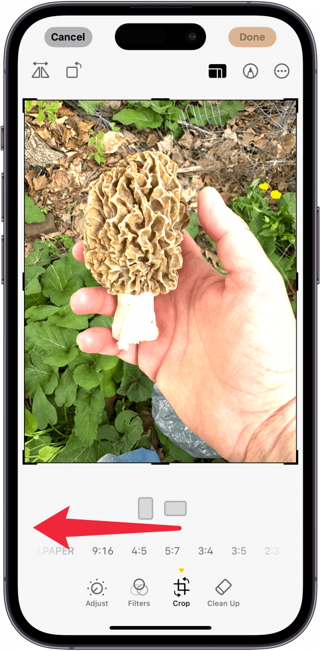swipe left across resize photo iphone options